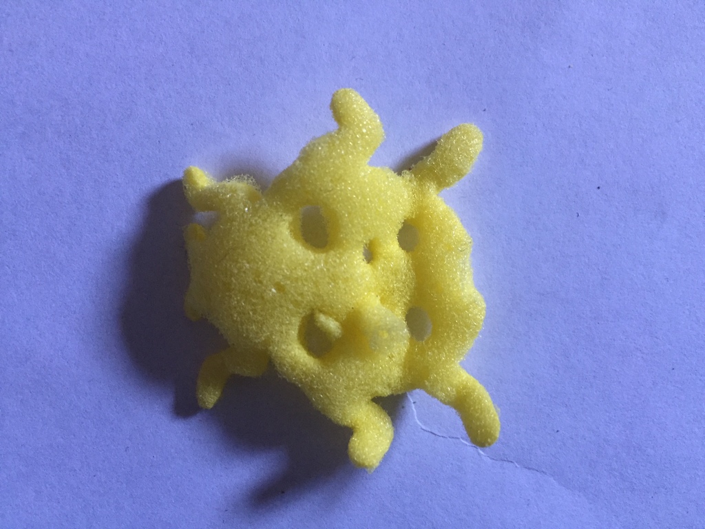 Sponge of The Day
