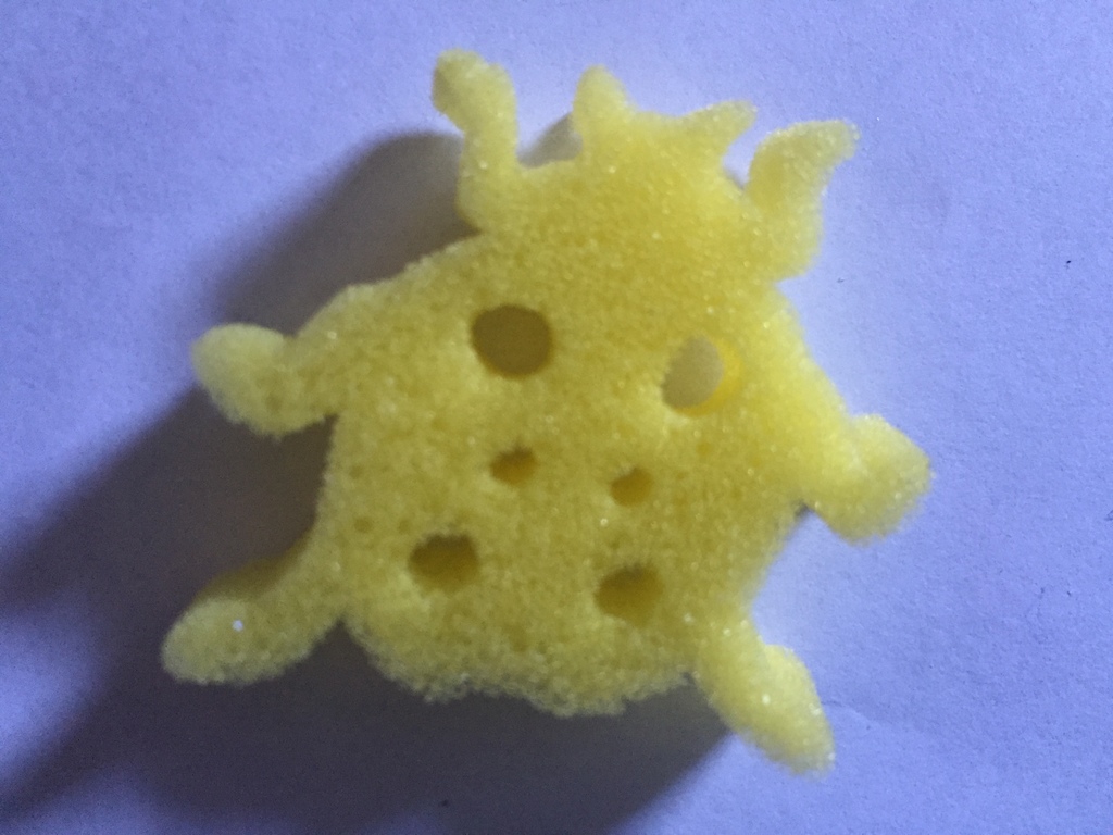 Sponge of The Day